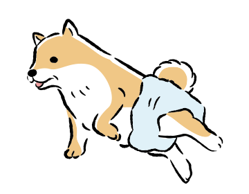 中型犬以上の抱っこできない子はおむつの徹底のお願い