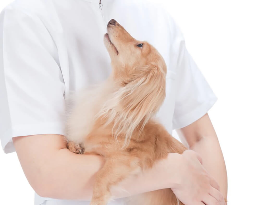 治療方針